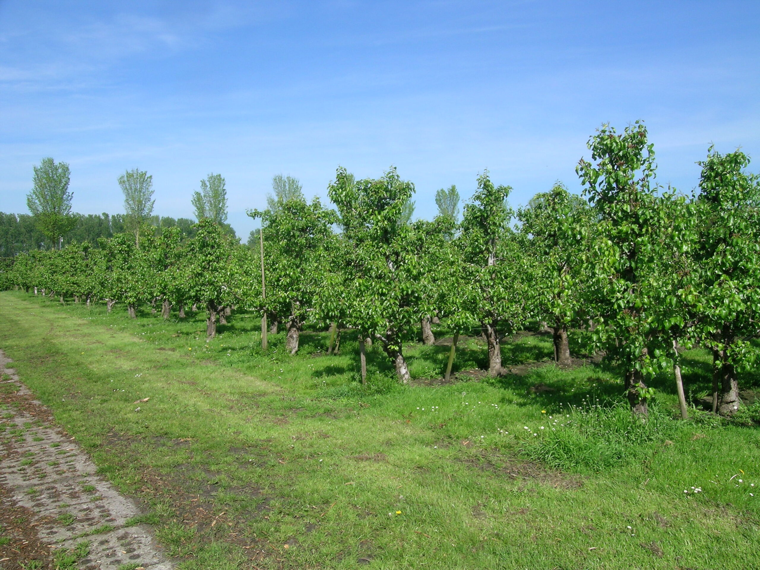 Hendriks Agrarische Makelaardij